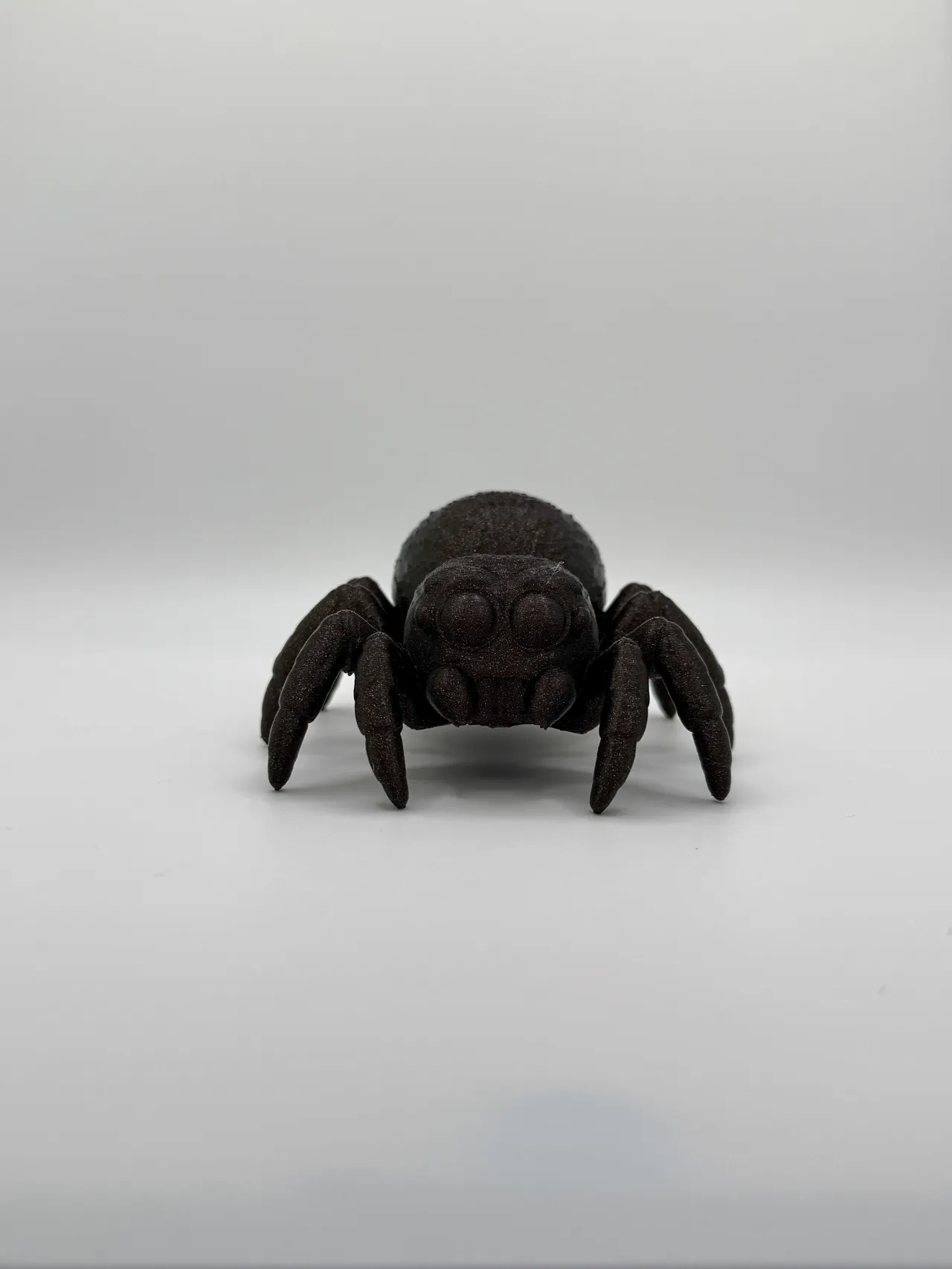 Cute Little Jumping Spider view 4