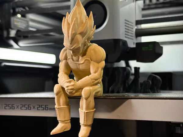 https://makerworld.bblmw.com/makerworld/model/US12444271951a06/design/579d0163849990c9.jpeg