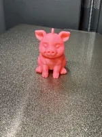 single color 0.2mm layer, 2 walls, 10% infill
