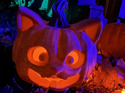 Cute Cat Face Jack-O-Lantern Pumpkin Halloween 