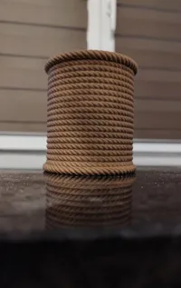 0.2mm layer, 2 walls, 8% infill