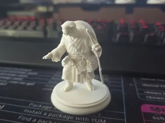 D&D Mini - Tortle Monk