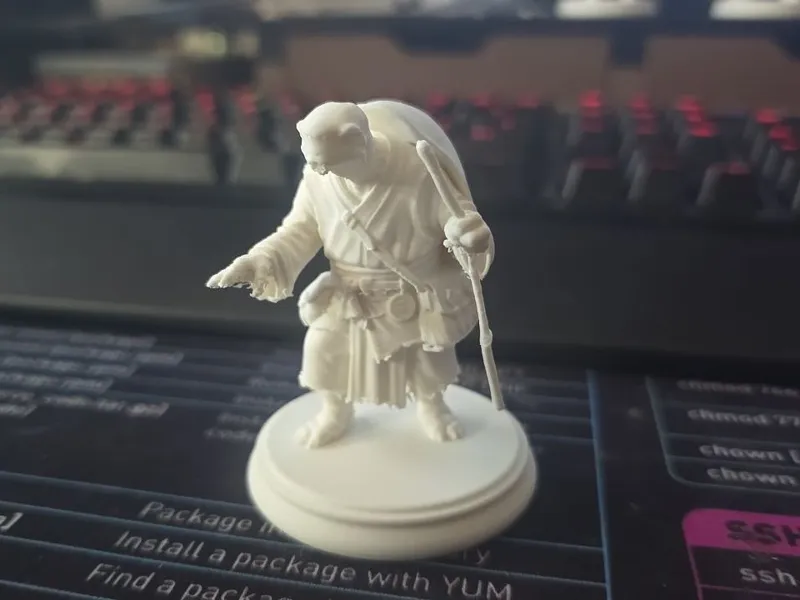 D&D Mini - Tortle Monk