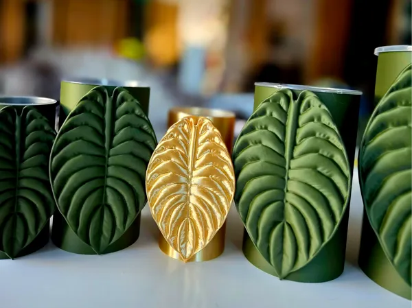 https://makerworld.bblmw.com/makerworld/model/US1253055f5b0910/design/b0b178a21af2b9a5.jpg