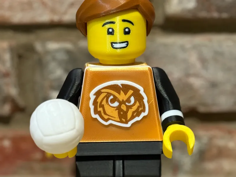 Brickman Accessories - Volleyball