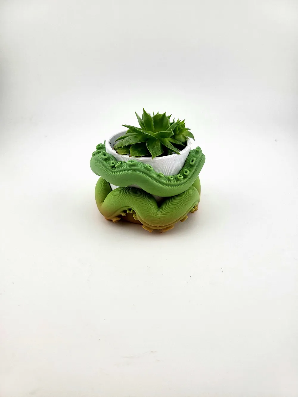Succulent vase plant pot - Free 3D Print Model - MakerWorld