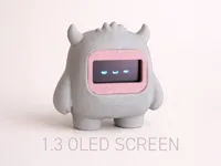 1.3" OLED Screen