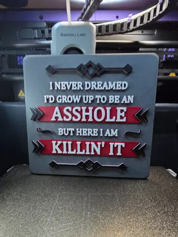 Modelo para impresión 3D: Killin' It - A-Hole Version — vista de referencia 2