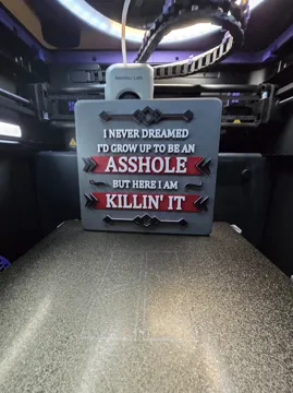 Modelo para impresión 3D: Killin' It - A-Hole Version — vista de referencia 4
