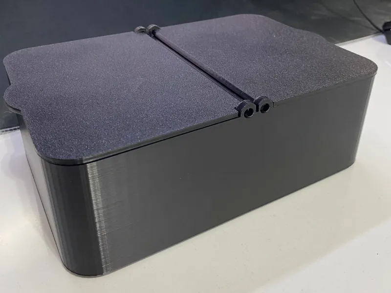 Dual Compartment Organizer Box With Hinged Lids