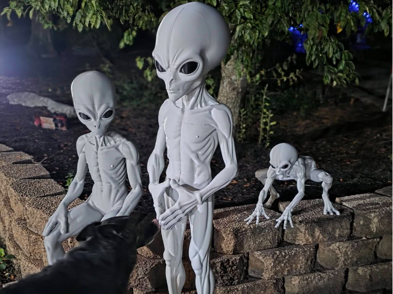 5 Foot Leader THEM 1947 Alien Greys - 1