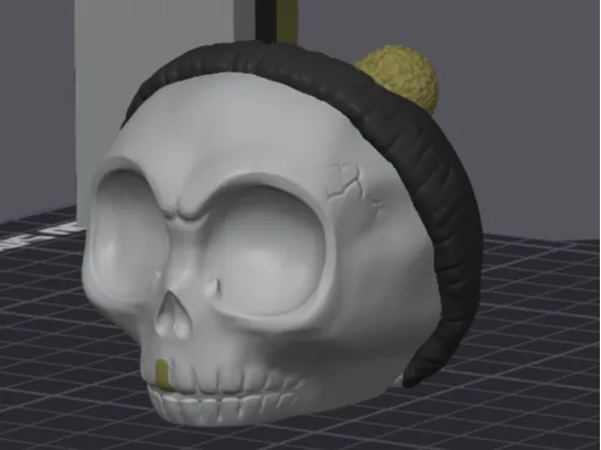 Skull wearing a Beanie 