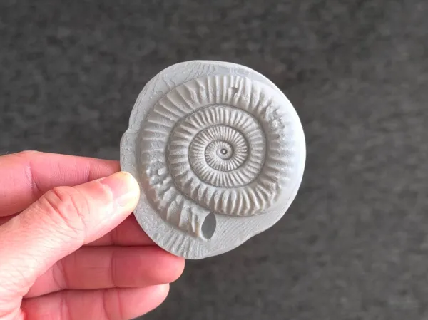 https://makerworld.bblmw.com/makerworld/model/US12886627fc74df/design/2025-09-14_eedc2355b7ab88.jpg