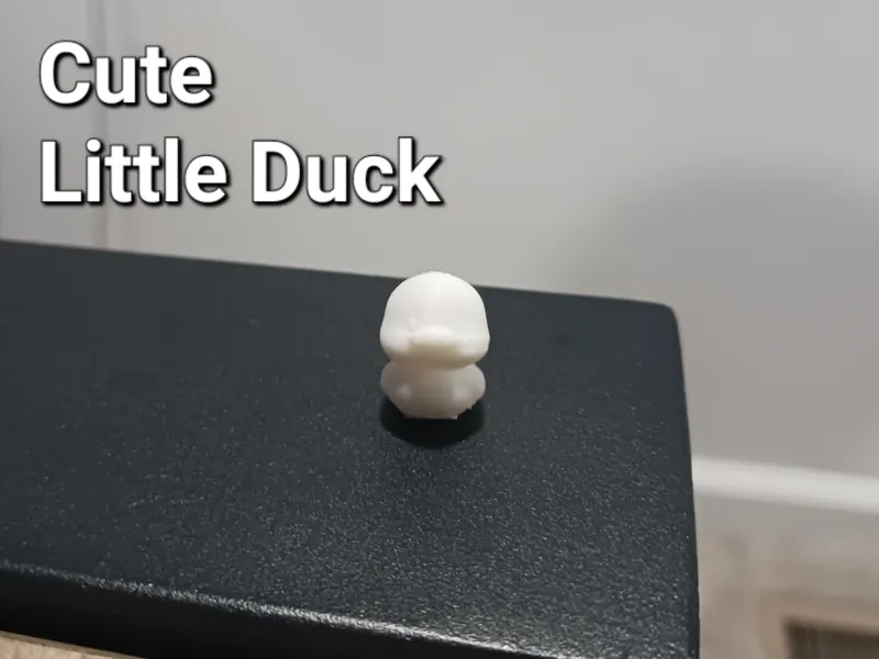 Cute Little Duck