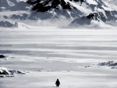 Penguin Heading To The Mountains. Be The Penguin