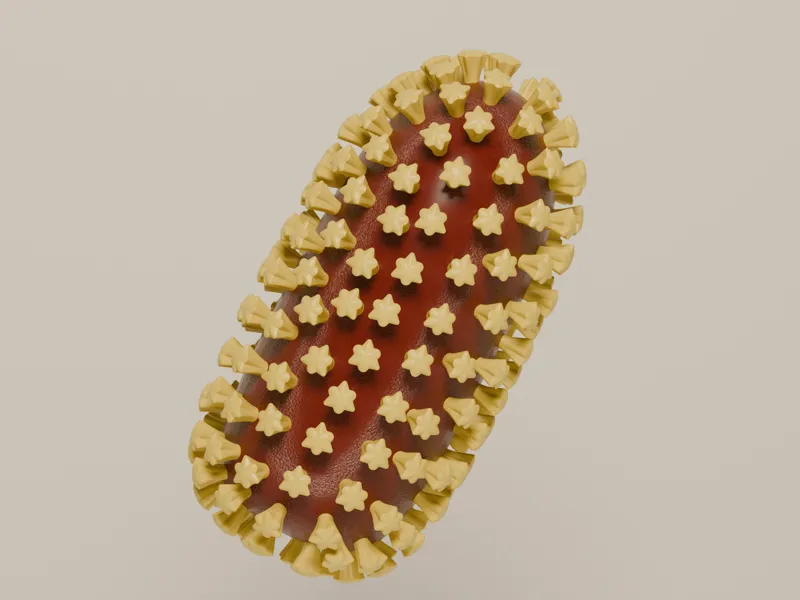 Rabies virus