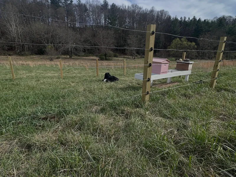 Electric Fence Insulator
