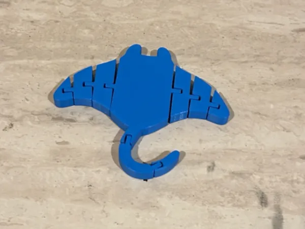 https://makerworld.bblmw.com/makerworld/model/US128fbd11618168/design/2025-10-27_c35194c09ef33.jpeg