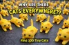 Without number, 100 cats