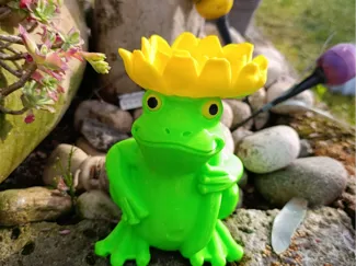 rana da giardino