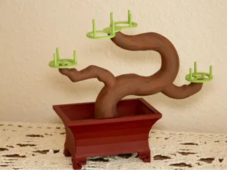 bonsai plant