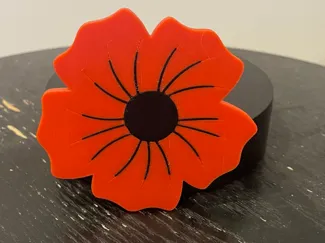 Flander Poppy