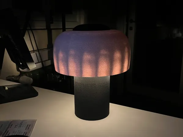 https://makerworld.bblmw.com/makerworld/model/US129aae00886917/design/2025-04-29_23fb92a512e54.jpg