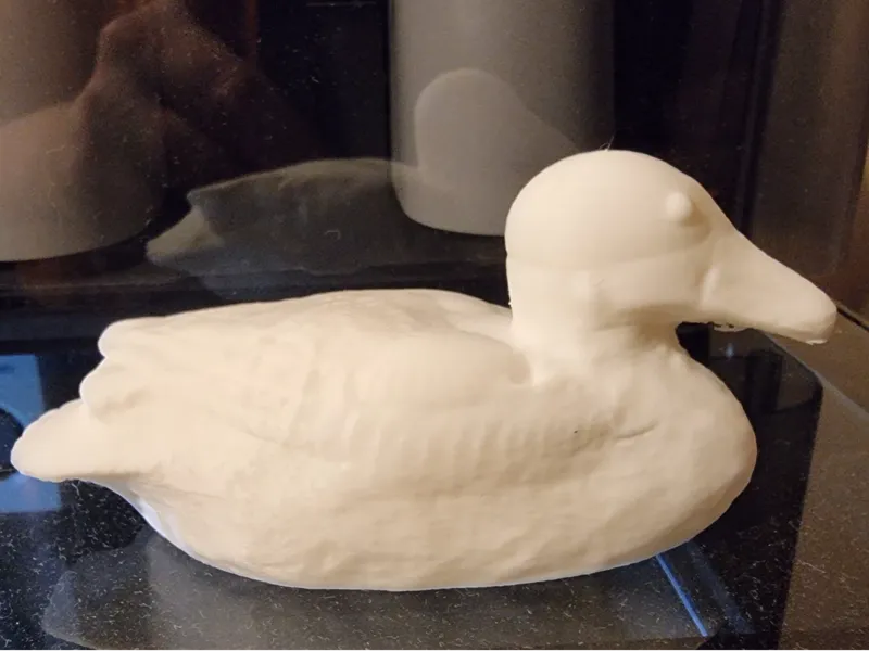 3D Duck