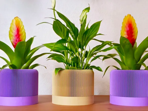 https://makerworld.bblmw.com/makerworld/model/US129cb666e41538/design/2024-12-25_62f1d231b26278.jpg