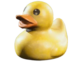 Rubber Duck Arc Raiders