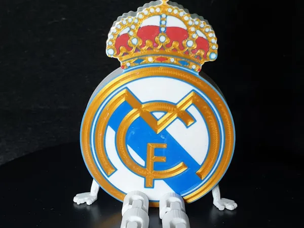 https://makerworld.bblmw.com/makerworld/model/US129feb20d4e6c9/design/2025-01-01_266ea6d432bc8.jpg