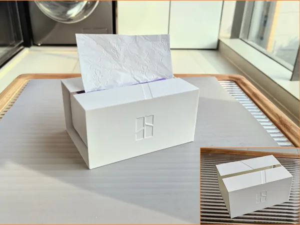 https://makerworld.bblmw.com/makerworld/model/US12a01b4f76cdfa/design/2024-11-11_4421897cc358f.png