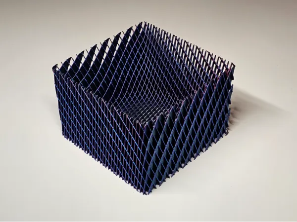 https://makerworld.bblmw.com/makerworld/model/US12a53cc2deb826/design/2025-01-06_009c174cfd127.jpg