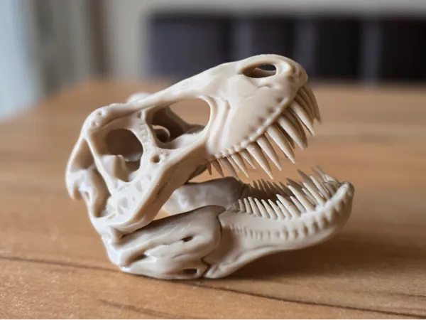 https://makerworld.bblmw.com/makerworld/model/US12a8c30897671a/design/cac389108087b4f1.jpg