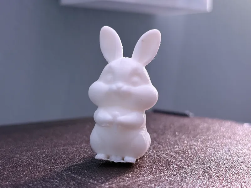 Cute Bunny holding a carrot