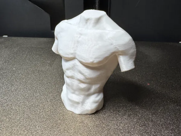 https://makerworld.bblmw.com/makerworld/model/US12b37c52185843/design/2025-02-04_e146e824b9cd2.jpg