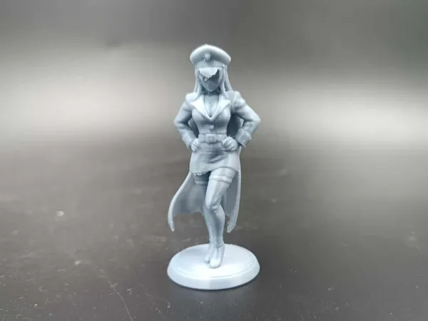 https://makerworld.bblmw.com/makerworld/model/US12b4ee9473add5/design/2025-05-25_6d1f251a76dfd8.jpg