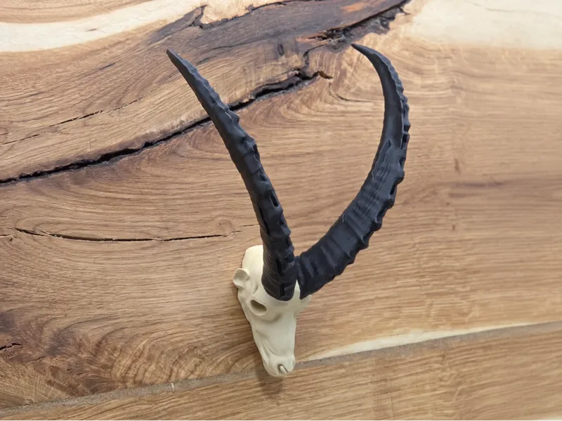 Capricorn trophy (knife holder)