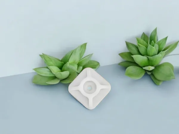 https://makerworld.bblmw.com/makerworld/model/US12c5fd87e719d5/design/2025-01-10_3737d0bd4b1bb.png
