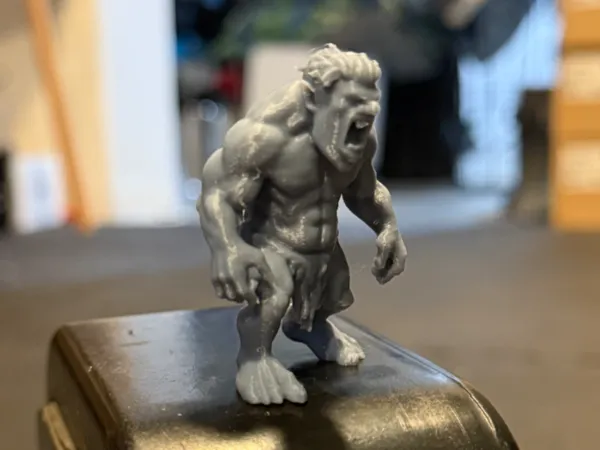 https://makerworld.bblmw.com/makerworld/model/US12c6f243b0aa6c/design/2024-12-29_161c0ab2c0a.jpeg