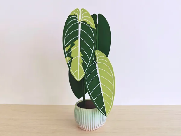 https://makerworld.bblmw.com/makerworld/model/US12ce1eb431c22d/design/2026-01-04_dd4f5978fa2978.jpg