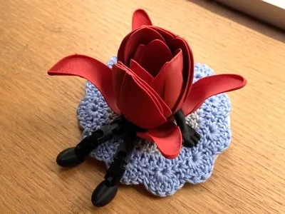 Tulip buddy