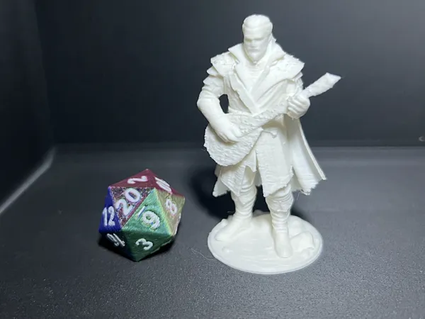 https://makerworld.bblmw.com/makerworld/model/US12d78964e83493/design/46cdf57957c29de0.jpeg