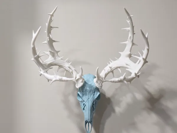 https://makerworld.bblmw.com/makerworld/model/US12d952ac3c72ef/design/f8d9e7b80413d5ba.jpg