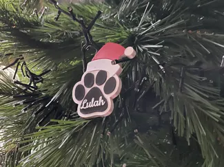 xmas pets decoration