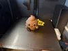 Plöppi – 4 Color Desk Buddy (AMS)