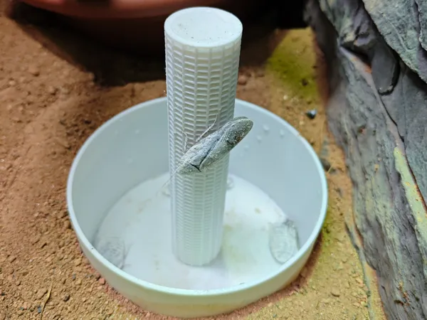 https://makerworld.bblmw.com/makerworld/model/US12e370cad188a5/design/2025-03-14_1f32b5c79b68.jpg