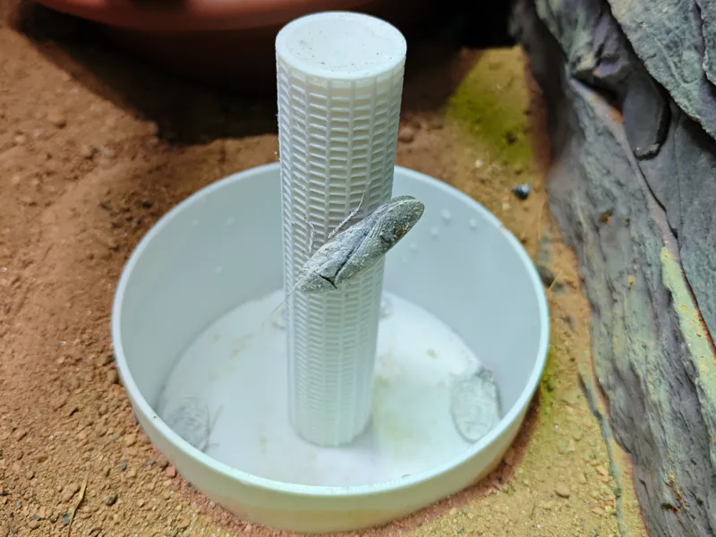 Tower Reptile Feeder