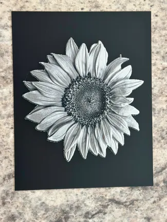 Sunflower, HueForge