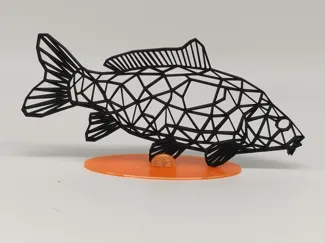 Wandbild Karpfen Carp
